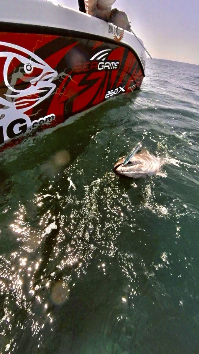 xtreme tuna fishing sortie peche au thon anglet bayonne pays basque capbreton landes