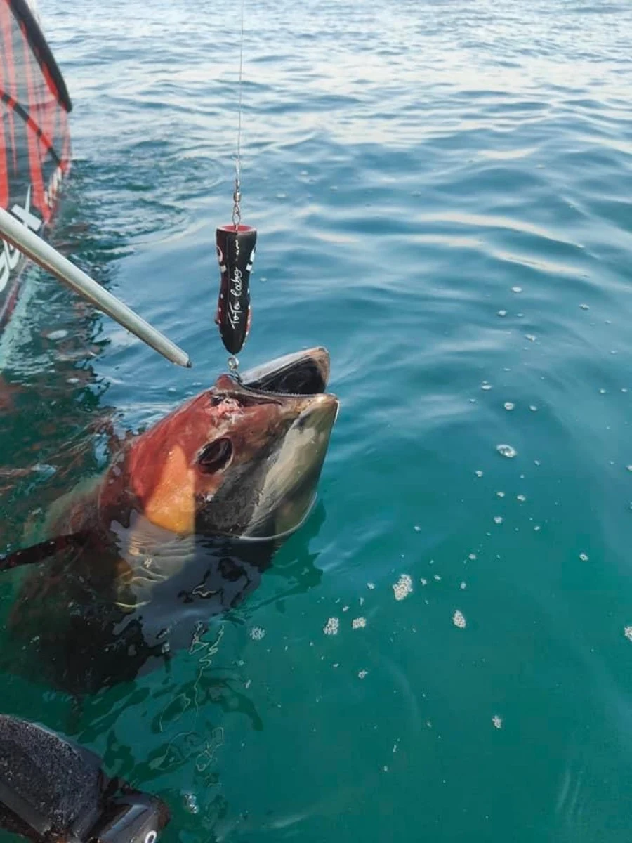 xtreme tuna fishing sortie peche au thon anglet bayonne pays basque capbreton landes