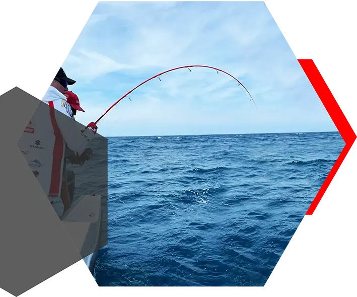 contact guide de peche au thon dorade bar maigre xtreme tuna fishing frederic steffan pays basque